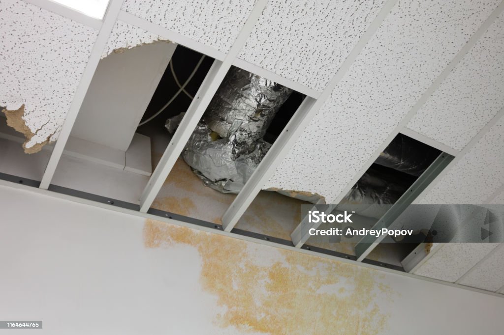 istockphoto-1164644765-1024x1024.jpg