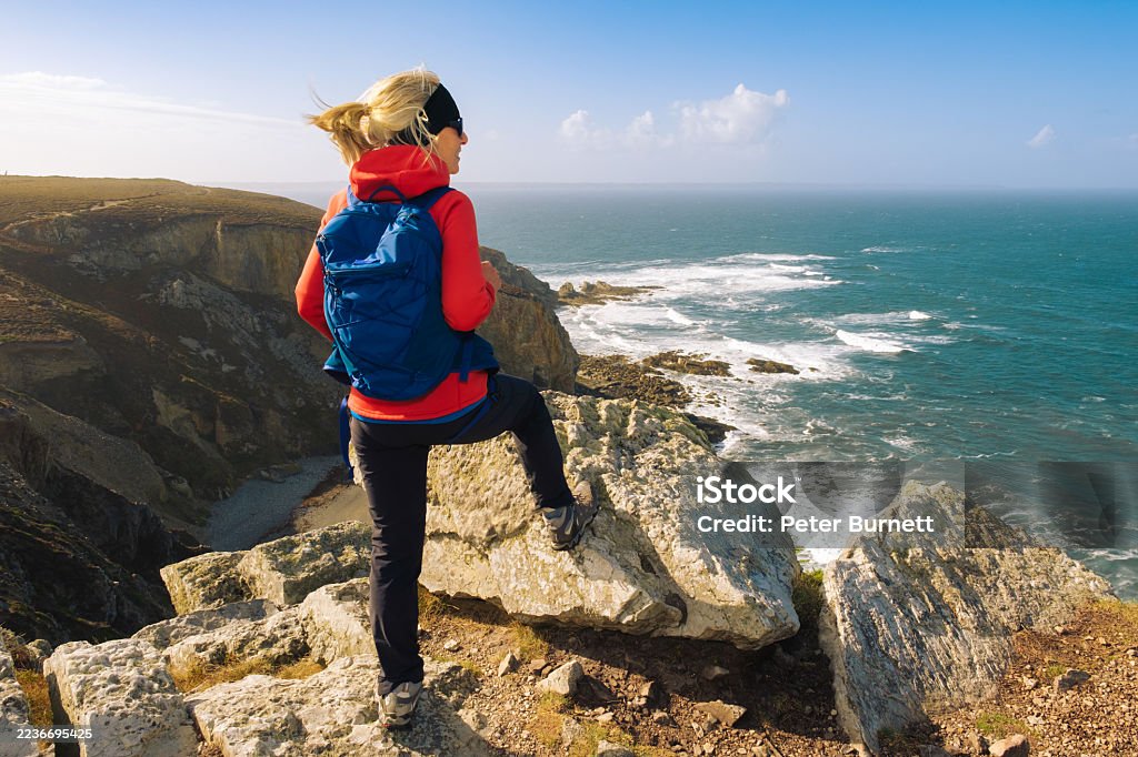 istockphoto-2236695425-1024x1024.jpg